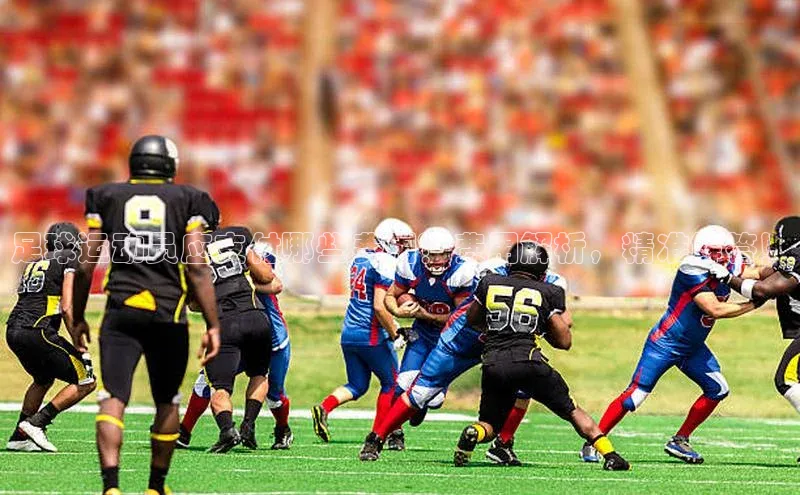 龙8官网 long8 bet元隆雅图足球运动员应支付哪些费用？费用解析，精准解答！