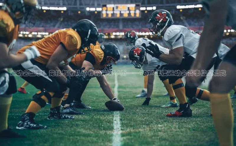 龙8官网网站轻美电器运动会盛事：竞技与团队协作的完美平衡——2023年度运动会赛事信息概览