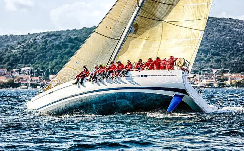 竞技世界：2023年国际体育盛事