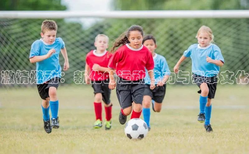 激情燃动：新化的运动魅力与赛事文化