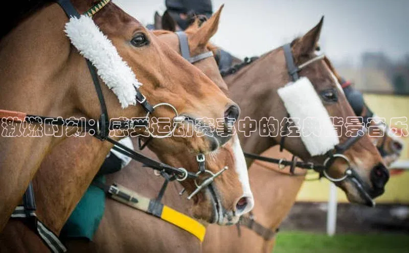 激燃时刻：感受运动赛事中的经典背景音乐