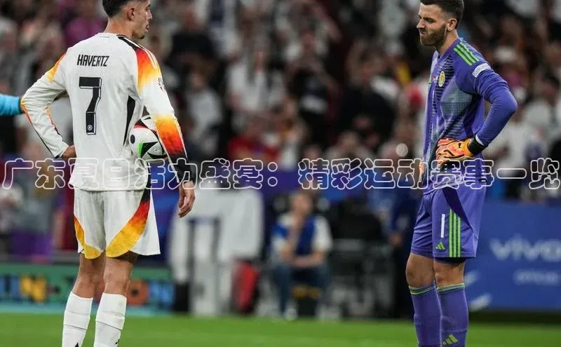 广东夏日活力盛宴：精彩运动赛事一览