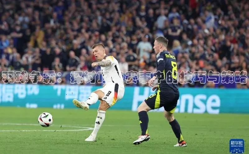 羽球争霸：探讨顶级赛事中的技巧与策略