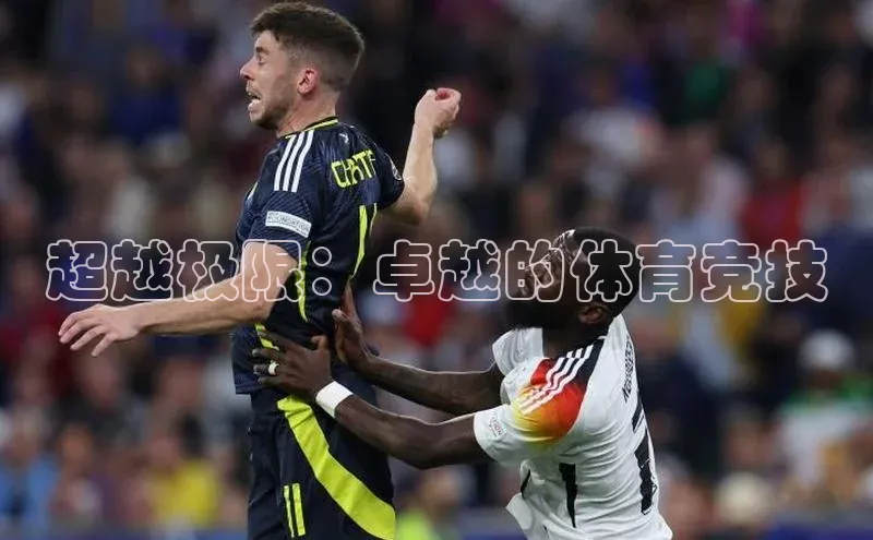 超越极限：卓越的体育竞技