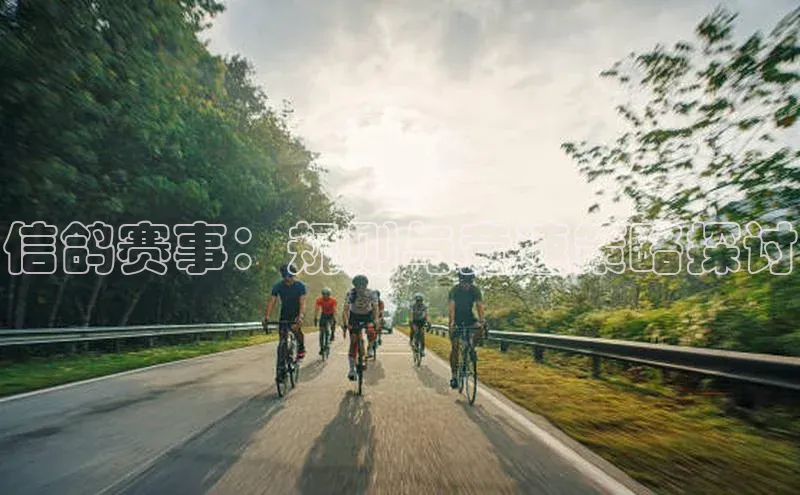 信鸽赛事：规则与竞速策略探讨