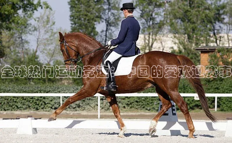 龙八国际app官方下载