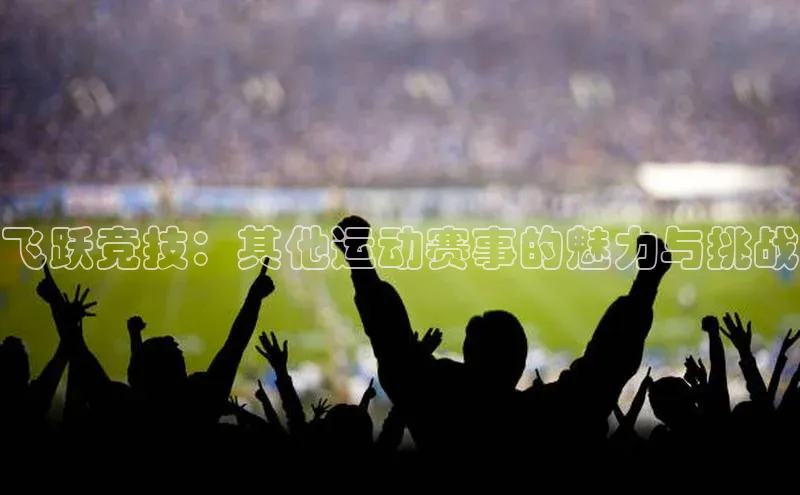 飞跃竞技：其他运动赛事的魅力与挑战