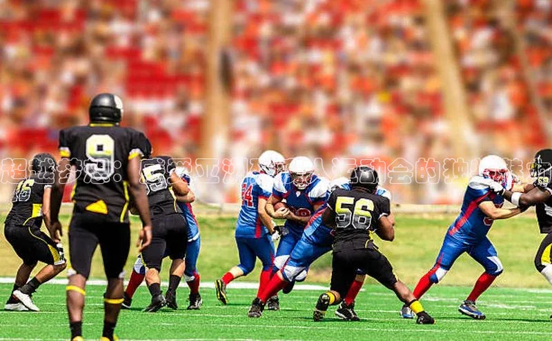 龙八国际唯一官网